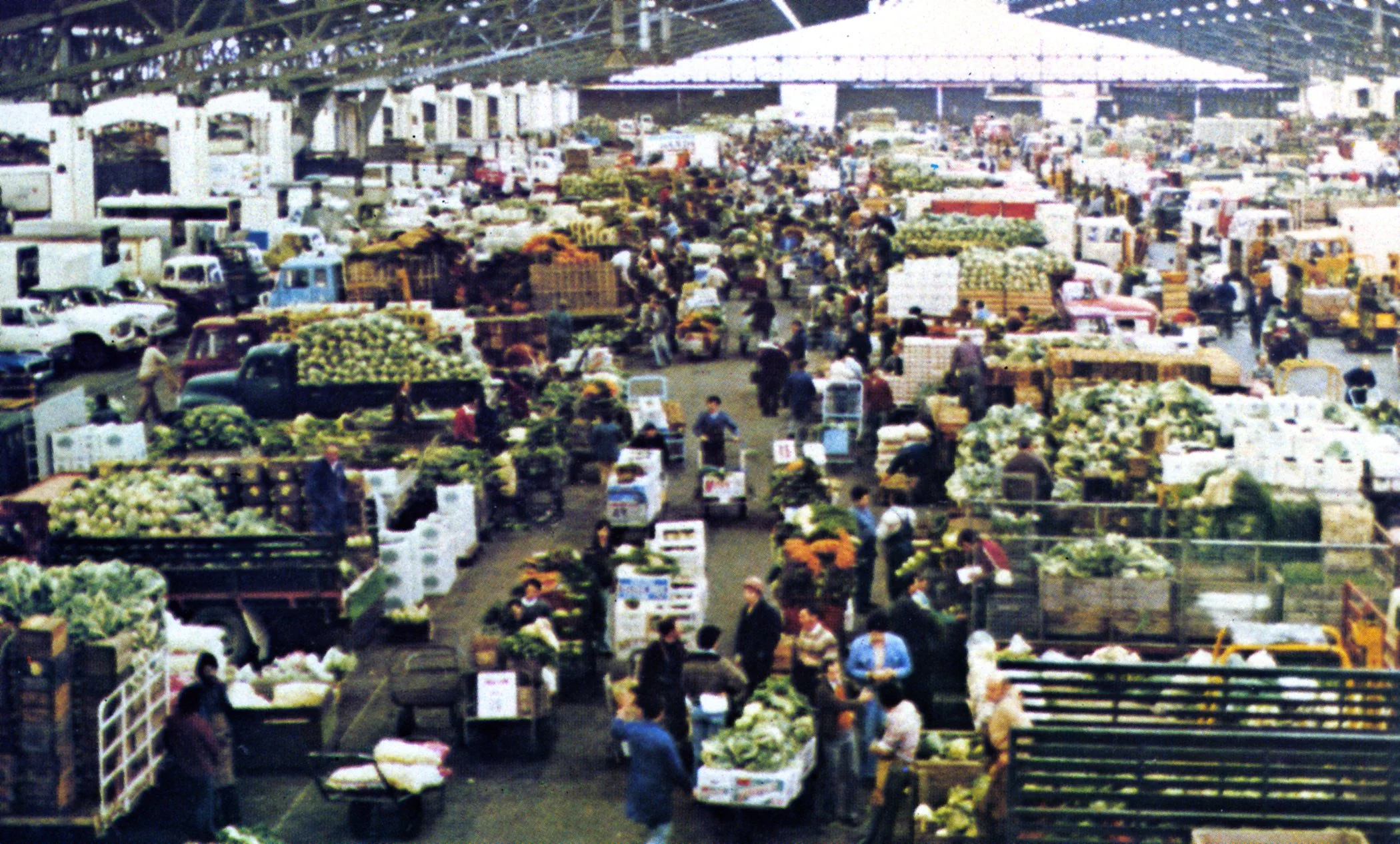 market-safe-img02